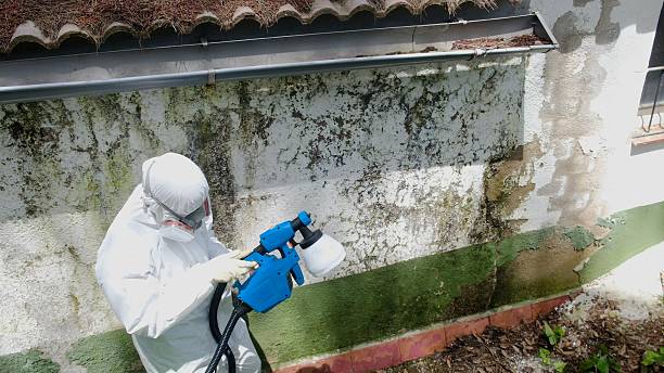 Top rated local Attic Mold Remediation specialists in Westphalia, MD